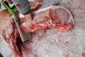 gris3-1-e1446112895904-1024x683