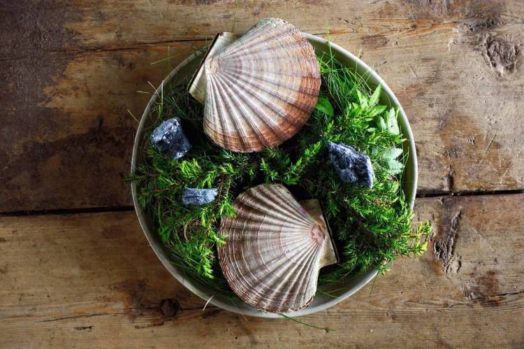 ik_faviken_0611__385-1_2